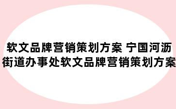 软文品牌营销策划方案 宁国河沥街道办事处软文品牌营销策划方案怎么写